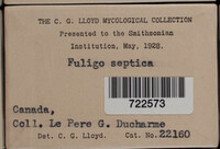 Image Associated With the Occurence